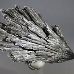 Black Kyanite Healing Crystal ~68mm