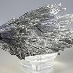 Black Kyanite Healing Crystal ~75mm