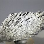 Black Kyanite Healing Crystal ~82mm