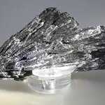Black Kyanite Healing Crystal ~85mm