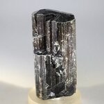Black Tourmaline Crystal (Special Grade) ~55mm