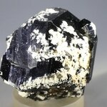 RARE Black Tourmaline Mineral Specimen with Cleavelandite ~47mm
