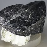 Black Tourmaline with Cleavelandite Mineral Specimen ~65mm
