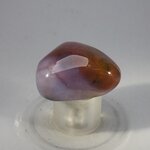 Bloodstone Tumblestone (Extra Grade) ~31mm