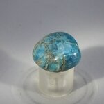 Blue Apatite Tumblestone  ~23mm