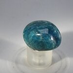 Blue Apatite Tumblestone  ~24mm
