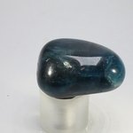 Blue Apatite Tumblestone  ~32mm