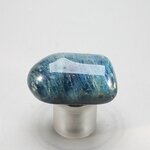 Blue Apatite Tumblestone  ~35mm