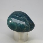 Blue Apatite Tumblestone  ~37mm