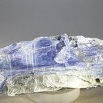 Blue Kyanite Healing Crystal ~100mm