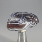 Botswana Agate Tumblestone ~38mm