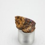 Boulder Opal   ~25mm