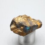 Boulder Opal   ~30mm