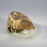 Boulder Opal   ~30mm