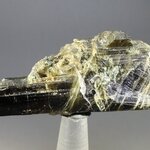 Brazilian Epidote Healing Crystal ~55mm