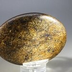 Bronzite Palmstone (Extra Grade) ~70x50mm