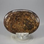 Bronzite Palmstone (Extra Grade) ~70x50mm