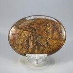 Bronzite Palmstone (Extra Grade) ~70x50mm