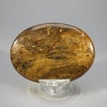 Bronzite Palmstone (Extra Grade) ~70x50mm