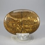 Bronzite Palmstone (Extra Grade) ~70x50mm