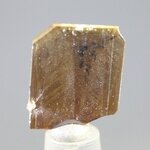 Brookite Healing Crystal ~17mm