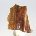 Brookite Healing Crystal ~23mm