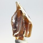 Brookite Healing Crystal ~23mm