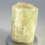 Green Apatite Healing Crystal ~28mm