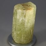 Brown Apatite Healing Crystal ~30mm