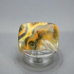 Bumble Bee Jasper Cabochon ~32mm