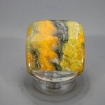 Bumble Bee Jasper Cabochon ~34mm