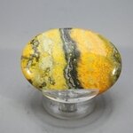 Bumble Bee Jasper Cabochon ~46mm