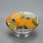Bumble Bee Jasper Cabochon ~46mm