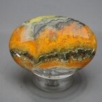 Bumble Bee Jasper Cabochon ~52mm