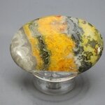 Bumble Bee Jasper Cabochon ~54mm