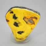 Bumble Bee Jasper Polished Freeform ~50x46mm