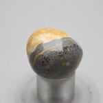 Bumble Bee Jasper Tumblestone ~27mm