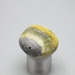 Bumble Bee Jasper Tumblestone ~28mm