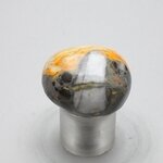 Bumble Bee Jasper Tumblestone ~28mm