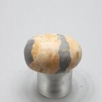 Bumble Bee Jasper Tumblestone ~29mm