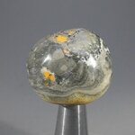 Bumble Bee Jasper Tumblestone ~29mm