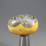 Bumble Bee Jasper Tumblestone ~30mm