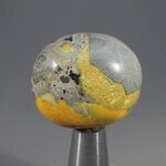 Bumble Bee Jasper Tumblestone ~30mm