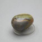 Bumble Bee Jasper Tumblestone ~32mm