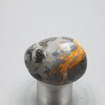 Bumble Bee Jasper Tumblestone ~32mm