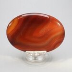 Carnelian Palmstone (Extra Grade) ~70x50mm