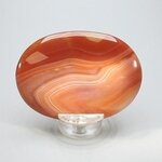 Carnelian Palmstone (Extra Grade) ~70x50mm