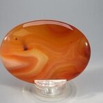 Carnelian Palmstone (Extra Grade) ~70x50mm
