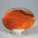 Carnelian Palmstone (Extra Grade) ~70x50mm
