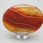 Carnelian Palmstone (Extra Grade) ~70x50mm